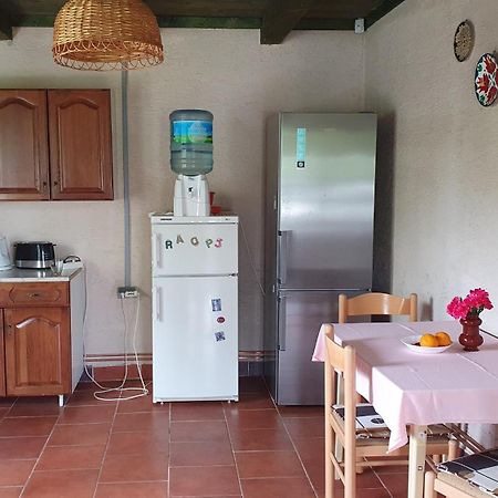Etno Salas - Etno Ranch - Seosko Turisticko Domacinstvo Villa Палич Екстериор снимка