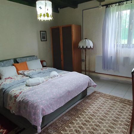 Etno Salas - Etno Ranch - Seosko Turisticko Domacinstvo Villa Палич Екстериор снимка