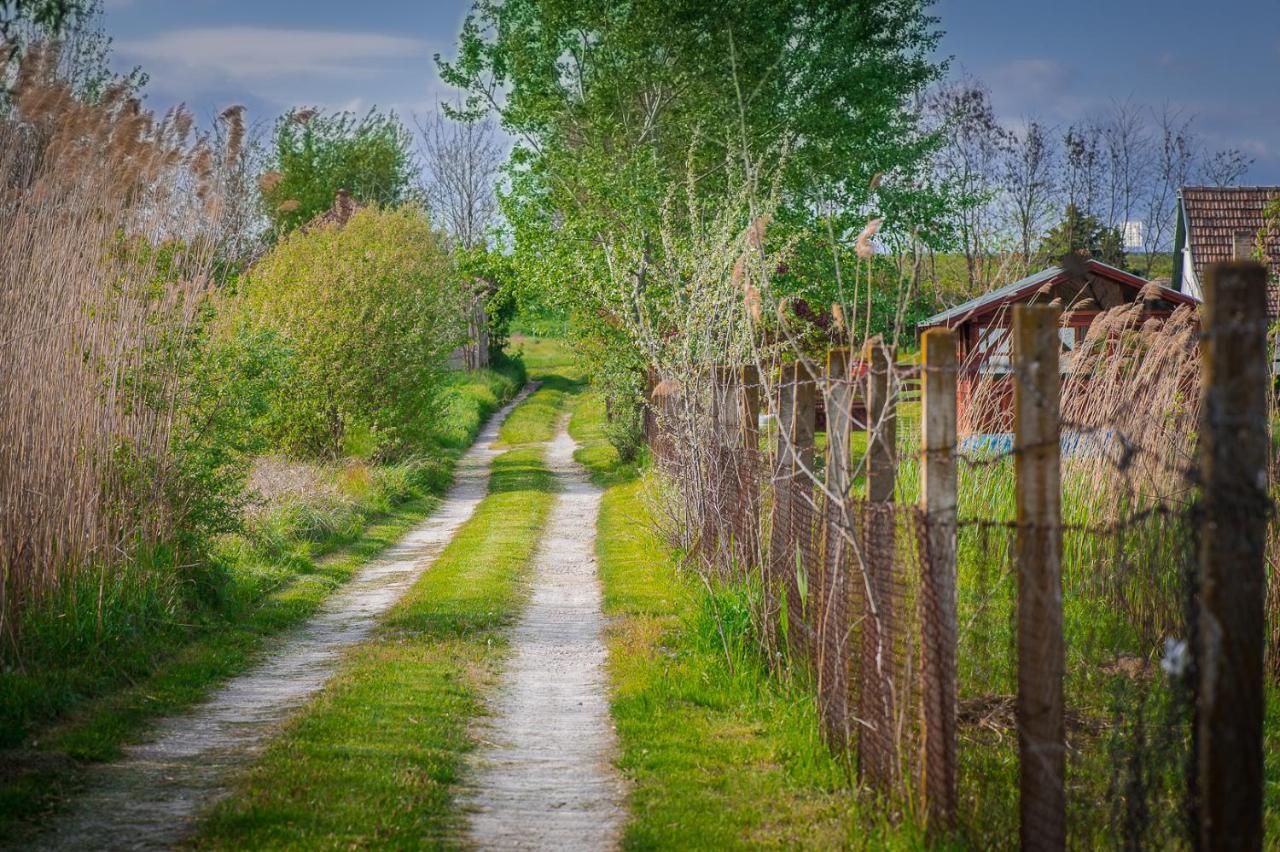 Etno Salas - Etno Ranch - Seosko Turisticko Domacinstvo Villa Палич Екстериор снимка