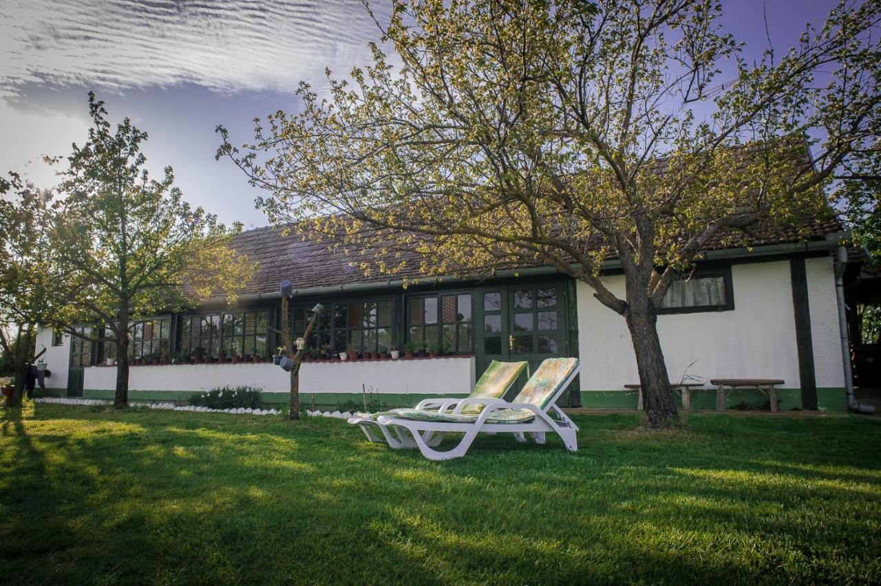 Etno Salas - Etno Ranch - Seosko Turisticko Domacinstvo Villa Палич Екстериор снимка