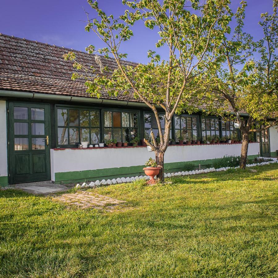 Etno Salas - Etno Ranch - Seosko Turisticko Domacinstvo Villa Палич Екстериор снимка