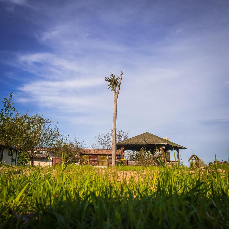 Etno Salas - Etno Ranch - Seosko Turisticko Domacinstvo Villa Палич Екстериор снимка