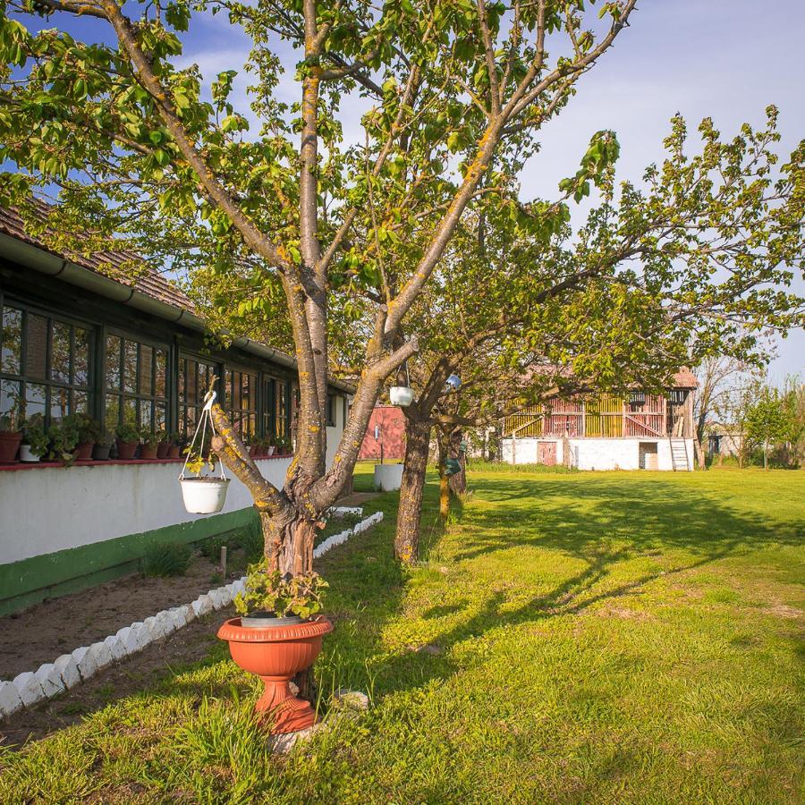Etno Salas - Etno Ranch - Seosko Turisticko Domacinstvo Villa Палич Екстериор снимка