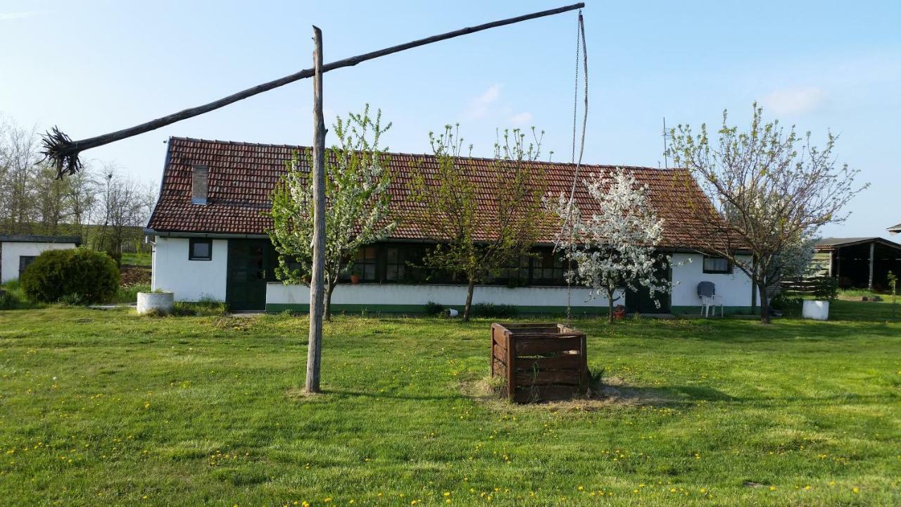 Etno Salas - Etno Ranch - Seosko Turisticko Domacinstvo Villa Палич Екстериор снимка